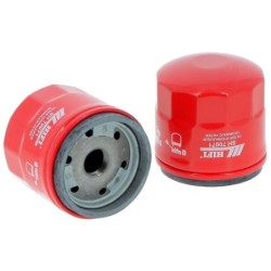 Filtro olio 0002773095 per irroratrici CHALLENGER e SPRA-COUPE